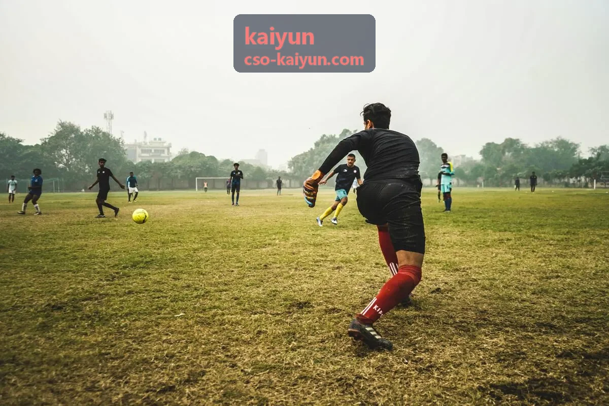 kaiyun客户成功专属顾问服务