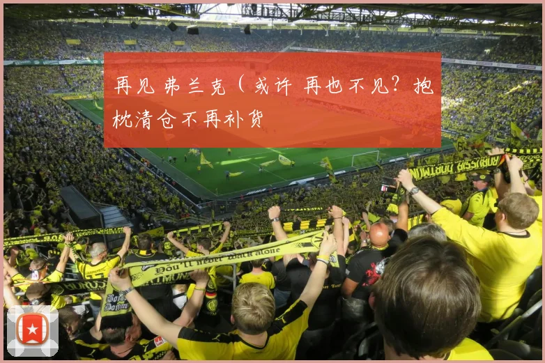 再见 弗兰克（或许 再也不见？抱枕清仓不再补货