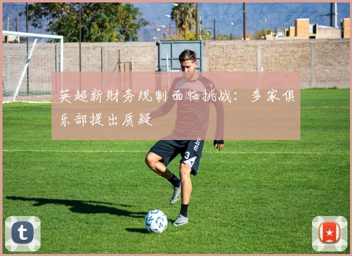 英超新财务规制面临挑战：多家俱乐部提出质疑