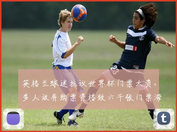 英格兰球迷抗议世界杯门票太贵，多人放弃购票资格致六千张门票滞销